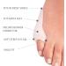 Buy Pedimend Toe Spreader & Protectors - Silicone Gel for Bunion Hammer Claw & Overlapping Toes | Comfort & Relief (1 Pair) - Buy Online on GoSupps.com