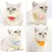 Moosh Silicone Airtag Holder for Dogs & Cats | Stylish Pet Tracker Accessory | Safe Brown Design for Easy Tracking - Buy Online on GoSupps.com