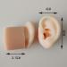 Soft Silicone Human Ear Simulation Model Learning Accessory for Ear Extraction of The Hearing Conduit Suitable for Visual Extraction Practice - Buy Online on GoSupps.com