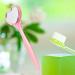Lurrose Eyebrow Razor & Shaver with Heart Mirror - Eyebrow Trimmer & Eyelash Comb for Women (Pink) | International Shipping Available - Buy Online on GoSupps.com