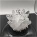 1pcs Natural White Crystal Cluster Quartz Crystal Health Reiki Stones Crystal Point Specimen Home Decoration Raw Crysta Crystal Cluster 800-900g - Buy Online on GoSupps.com