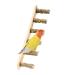 Head of bird toys parrots ladder bird toys toy wooden ladder wooden knitting conductor hamster wooden ladder parrot wood climbing ladders for small to medium birds