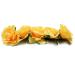 Funbase Women Yellow Rose Floral Crown Headband for Wedding & Festival - Buy Online on GoSupps.com