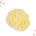 Angoily Natural Sea Sponges Soft Bath Sponges Body Puff Scrubber Used in Bath Shower Cleansing Exfoliating - Buy Online on GoSupps.com