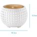 Ellia Gather Ultrasound Aroma Diffuser 170ml with Remote Control | Humidifier LED Lights Soothing Sounds | Ideal for Aromatherapy Yoga Spa & Bedroom - Buy Online on GoSupps.com