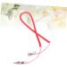 HANABASS 2 Pcs 10 Bird Leash Rabbit Leash Bird Harness Chicken Harness Bunny Leash Cockatiel Parrot Leash Size 4x2pcs As Shownx2pcs - Buy Online on GoSupps.com