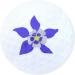 Navika Golf Balls - Colorado State/Columbine Flower Imprint on White Ball (3-Pack) - Buy Online on GoSupps.com