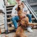 HUNTER Aalborg Leather Dog Harness - Cognac - Size SM/1 | Premium Comfort & Durability for Stylish Pets - Buy Online on GoSupps.com