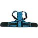 Waist Trainer Support Back Brace Posture Corrector for Women and Men Lumbar Shoulder Posture Support for Improve Posture Provide Back Pain Relief (Color : B Size : Large) (C X) - Buy Online on GoSupps.com