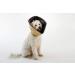 All Four Paws Comfy Cone Pet Collar - Skin-colored | Ultimate Comfort & Protection for Pets - Shop Internationally! - Buy Online on GoSupps.com