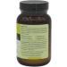 Biotic-6-Plus: 6 Active Cultures + Vitamin D for Immune Support | Vegan & Vegetarian Friendly | 60g Powder - Buy Online on GoSupps.com