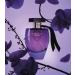 Victoria's Secret Very Sexy Orchid Eau de Parfum Rollerball Notes of Blackcurrant Orris Woods & Sheer Patchouli Travel Size Mini Perfumes for Women (0.23 oz) - Buy Online on GoSupps.com