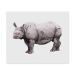 2 x Microfiber Cleaning Cloths "Indian Rhino" (LC00024379)