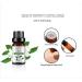 Water Soluble Essential Oil Set - Natural Fresh Air Bottles | Versatile & Practical (4) | International Shipping Available - Buy Online on GoSupps.com
