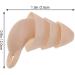 Premium Silicone Earplugs for Musicians | Anti-Noise & Swimming Ear Plugs | Soft & Comfortable Noise Reduction | Ideal for Work & Dormitory Use - Buy Online on GoSupps.com