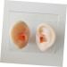 Operitacx Silicone Ear Model - Educational Ear Acupoint Learning Tool - Buy Online on GoSupps.com