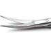 SANDBRSOS Cuticle Scissors Extra Fine Curved Professional Precise Pointed Tip Grooming kit for Eyebrow Eyelash Trim Nail and Dry Skin 12cm - Buy Online on GoSupps.com