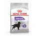 ROYAL Canine Adult STERILISED Maxi 12KG