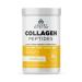 Ancient Nutrition Collagen Peptides Collagen Peptides Powder Vanilla Hydrolyzed Collagen Supports Healthy Skin Joints Gut Keto and Paleo Friendly 12 Servings 20g Collagen per Serving Vanilla 8.51 Ounce (Pack of 1)