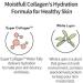 ETUDE HOUSE Moistfull Collagen Essence 80ml | Kbeauty | Moisturizing Long-Lasting Fast-Absorbing Essence for Sensitive Skin - Buy Online on GoSupps.com