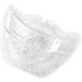 GANAZONO 2pcs Plastic Fruit Mini Watermelon Clear Fruit Transparent Forming Mold Shaper Pumpkin Support Frame - Buy Online on GoSupps.com
