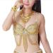 BellyLady Belly Dance Tribal Sequined Bra Top, Idea Gold 34C
