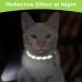 Tagme Reflective Cat Collar 2-Pack | Custom Name & Address Shield for Cats & Puppies | Safety Lock & Bell | Green 18-28 cm - Buy Online on GoSupps.com