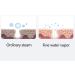 Facial Steamer Nano Ionic Face Steamer Deep Cleaning SPA Humidifier for Skin Moisturizing Cleansing Home Sauna SPA Face Humidifier Atomizer - Buy Online on GoSupps.com