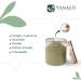 VANASTI Gurmar Powder | Gudmar Powder | Gymnema Sylvestre | Periploca of The Woods | 100 gram - Buy Online on GoSupps.com