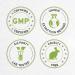 Onion Alcohol-Free Liquid Extract - Allium Cepa Dried Bulb - 2 FL OZ - Pack of 1 - Buy Online on GoSupps.com
