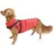 Eastlion Winter Dog Coat | Warm Waterproof Jacket for Puppies | Red Dog Clothing Vest with D-Ring | Size MM - Buy Online on GoSupps.com