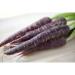 Buy Fresh Edible Carrots - Colorful Purple Carrots (2.50 KG) | International Shipping Available - Buy Online on GoSupps.com