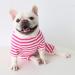 Classic Striped Pajamas for Dogs & Cats - Bt Bear Fat - Soft Cotton Costume for Pugs French Bulldogs & Small Breeds - Medium Hot Pink - Buy Online on GoSupps.com