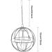 Fewao Stainless Rabbits Feeding Grass Ball Sphere Treat Hay Feeder Dispenser Hanging Ball Rabbit Chinchilla Guinea Pig Chicken Toys for Small Animals - Buy Online on GoSupps.com