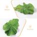 Beaupretty Fake Lettuce Leaves Artificial Vegetables Lettuces Alligator Hair Clip Vegetable Hairpin Hair Clip Cute Hair Accessories Sweet Barrette Creative Party Headdress for Women Girls - Buy Online on GoSupps.com