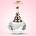 Leylor Exercise Base - Magnetic Nail Tip Holder & Display Stand for Nail Art | Manik re Tool (#4 White Diamond Crystal) - International Shipping - Buy Online on GoSupps.com