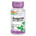 Solaray Jiaogulan Root Extract 410 mg 60 VegCaps