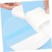 PLAFOPE 4pcs Women's Private Stickers Private Parts Invisible Stickers Private Patches - Buy Online on GoSupps.com