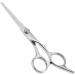 Stainless Steel Hair Scissors Hair Thinning Scissors Cutting Shear Professional Hair Cutting Scissors Cutting Styling Hair Hairdressing Shear Hair Shears Scissor for Family Salon Barber(Regulate Scissor) - Buy Online on GoSupps.com