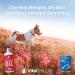 Salmon Oil for Dogs & Cats 32oz - Omega 3 EPA DHA Liquid Supplement | Healthy Skin, Coat, Joint & Bone Health | Natural Allergy & Immune Support - Buy Online on GoSupps.com