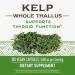 Nature's Way Kelp 180 Capsules - Pack of 2 | Rich in Iodine and Essential Minerals - Buy Online on GoSupps.com