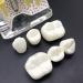 4x Enlarged Teeth Model for Dental Education | Implant & Crown Simulation | Ideal for Teaching & Demonstration - Buy Online on GoSupps.com