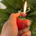 YAINWFVD 2 Pack of Cute Strawberry lighters Keychain lighters Windproof lighters Mini Portable Pocket lighters Butane Inflatable lighters Gifts for Women - Buy Online on GoSupps.com
