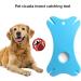 EHOTER Tick Card with Magnifying Glass 4 PCS Tick Cards Tick Card for People Children Dogs Cats Ideal for Outdoor Activities - Buy Online on GoSupps.com