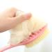 2-IN-1 Bath Body Brush With Long Handle - Shower Sponge Loofah & Bristles Back Scrubber for Exfoliating & Massage - Buy Online on GoSupps.com