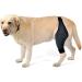BELLIFFY Dog Foreleg Brace Puppy Knee Braces Dog Acl Brace Hind Leg Paws Pet Mesh Fabric Large Dog Elbow Pads S As Shown - Buy Online on GoSupps.com