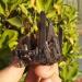 Crystal Rough 90-100g Natural Beautiful Black Quartz Crystal Cluster Tibetan Specimen - Buy Online on GoSupps.com