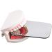 Uziah Dental Intraoral Mirror - Coated Glass Photography Mouth Mirror for Clinics & Dentists - Buy Online on GoSupps.com