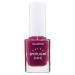 Collection Cosmetics Long Lasting Spotlight Shine Nail Polish Colour 10.5ml Raspberry Jam Raspberry Jam 10.5 ml (Pack of 1)