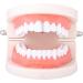 ERALP Hip Hop Gold Teeth Grills - Crystal Dental Caps for Cosplay & Party Unique Punk Jewelry Gift - Buy Online on GoSupps.com